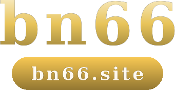 bn66 logo